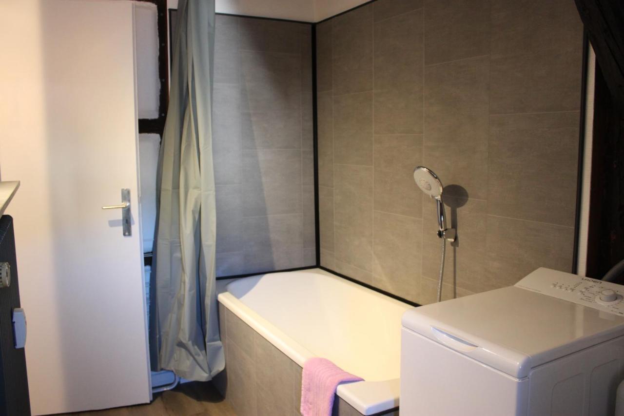 Appartement les Violettes Colmar Extérieur photo